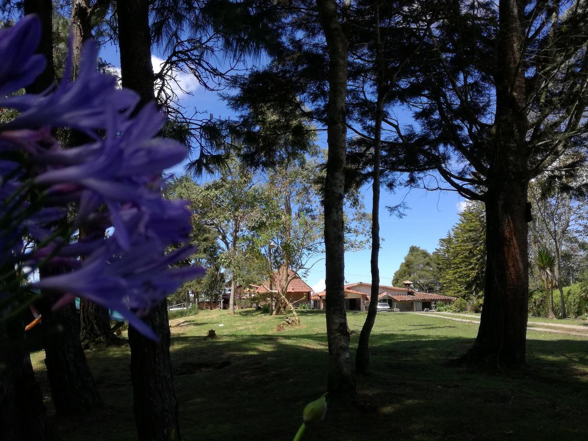 Al Bosque Hostel & Glamping Santa Elena  Zewnętrze zdjęcie